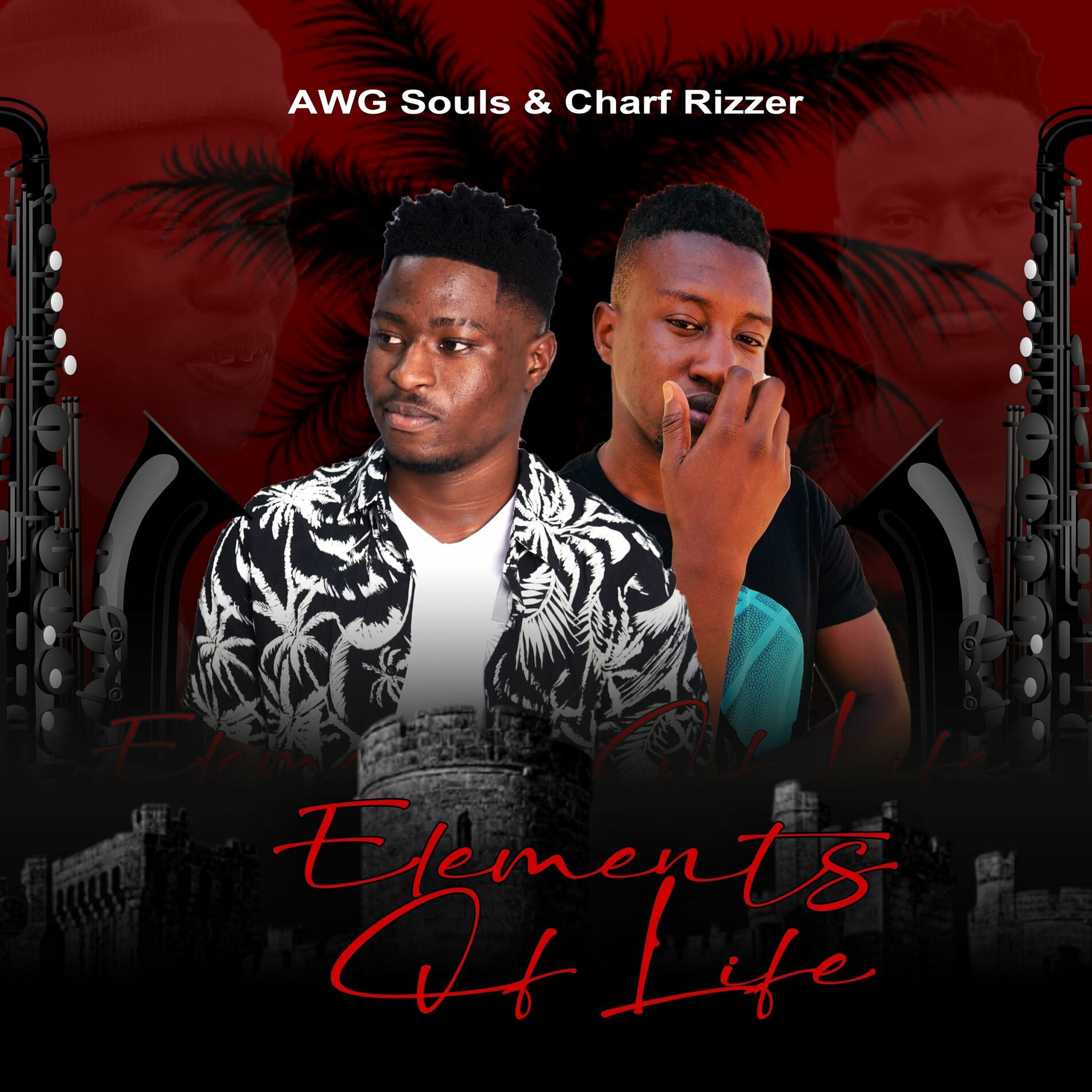 Album cover of Elements of Life