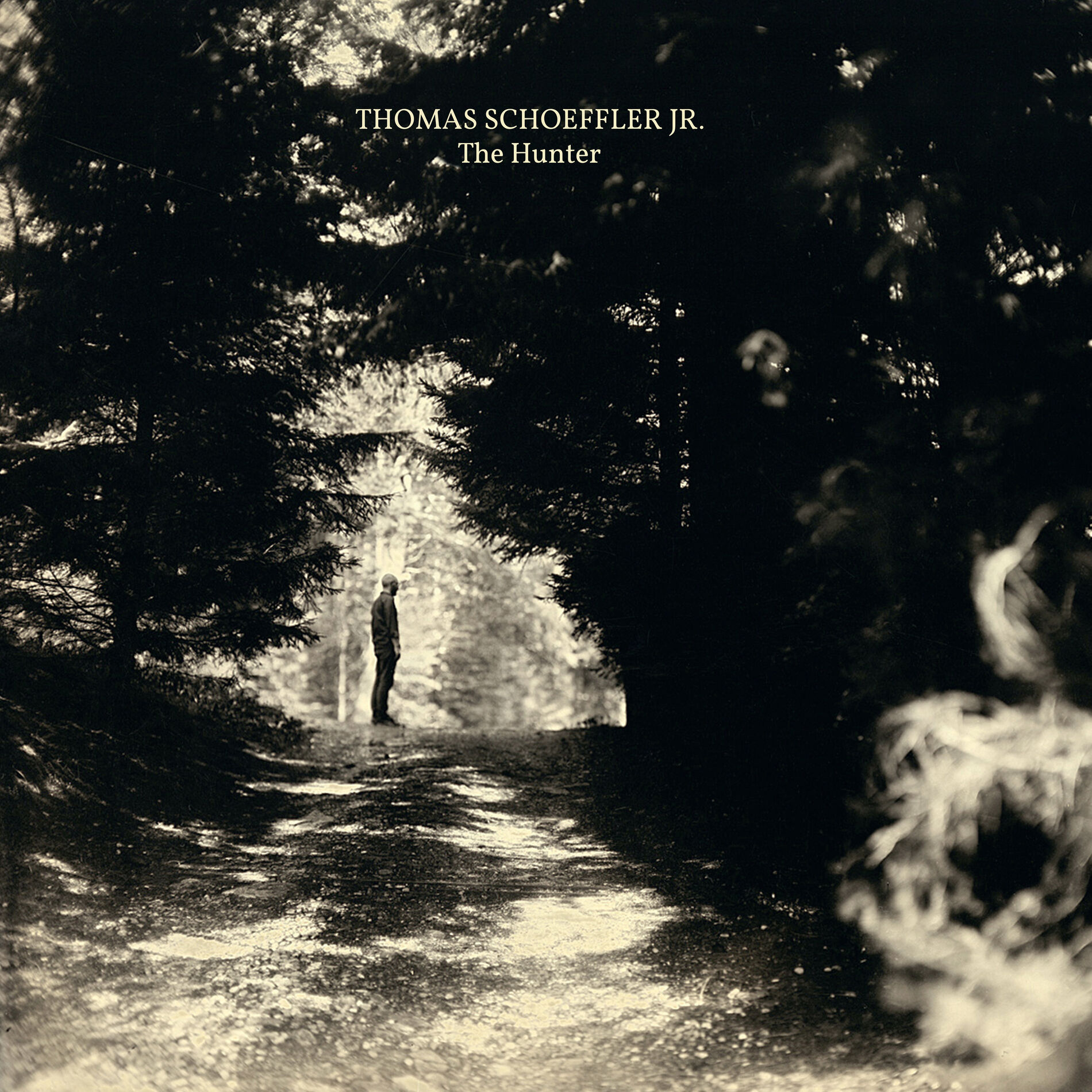 Album cover of The Hunter