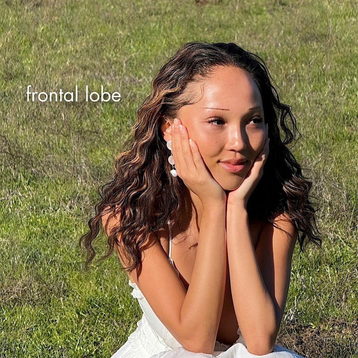 Album cover of frontal lobe