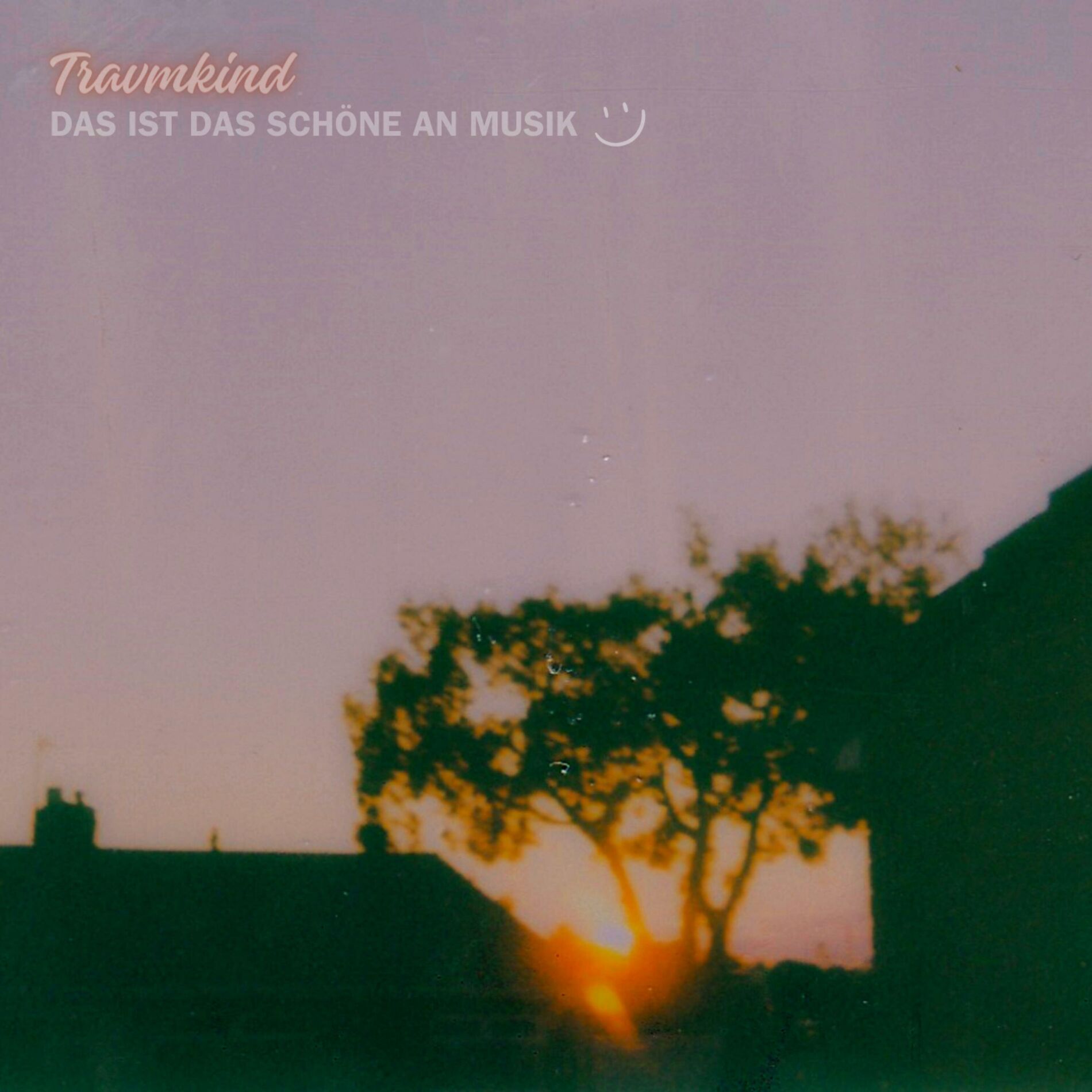 Album cover of Das ist das Schöne an Musik