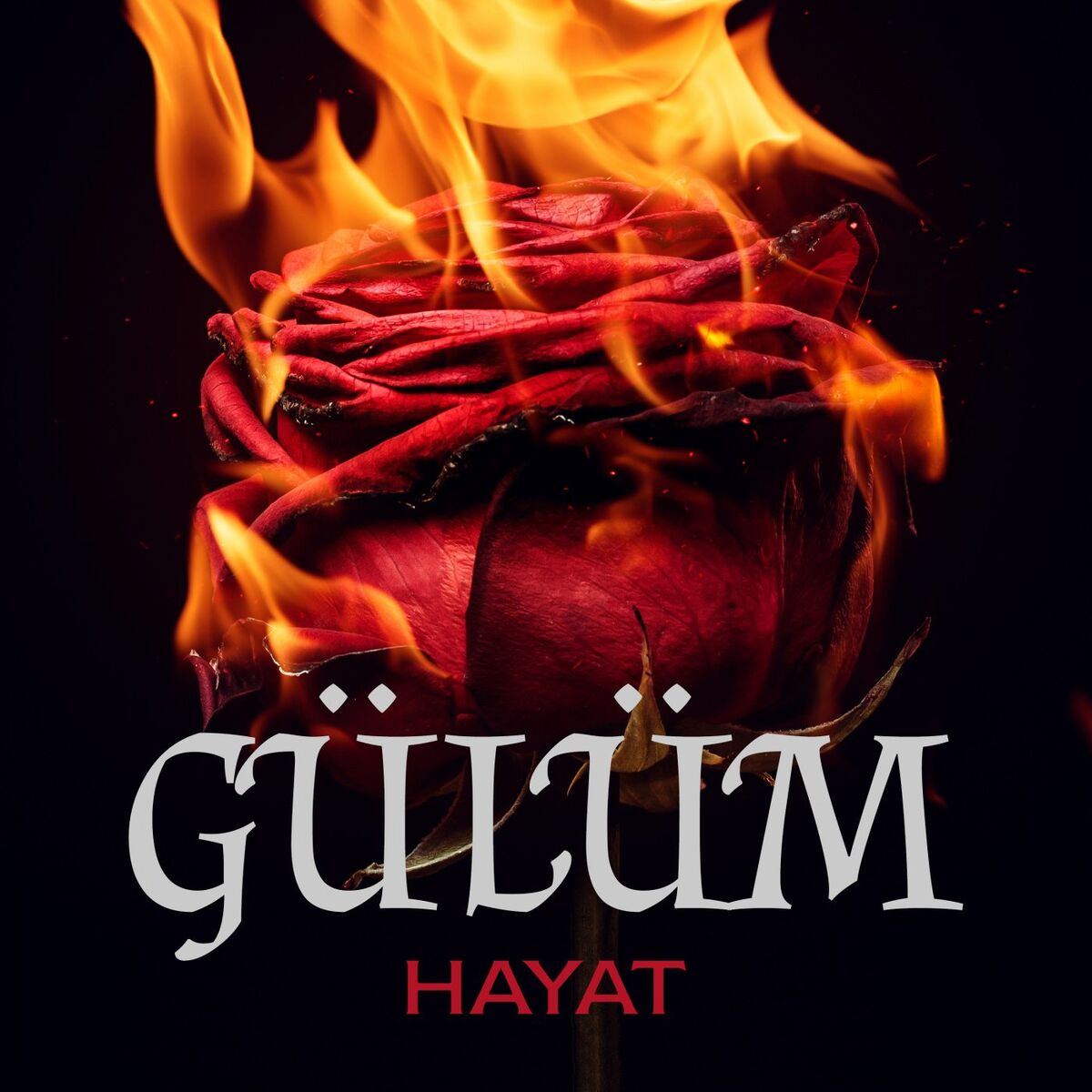 Album cover of Gülüm