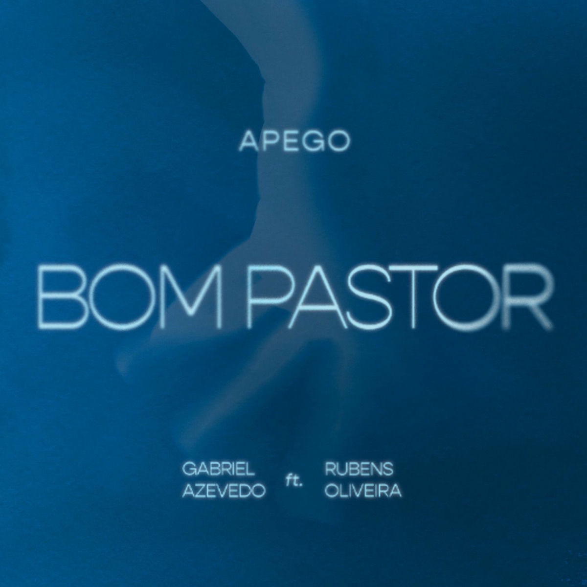 Album cover of Bom Pastor