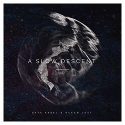 Cover of A Slow Descent