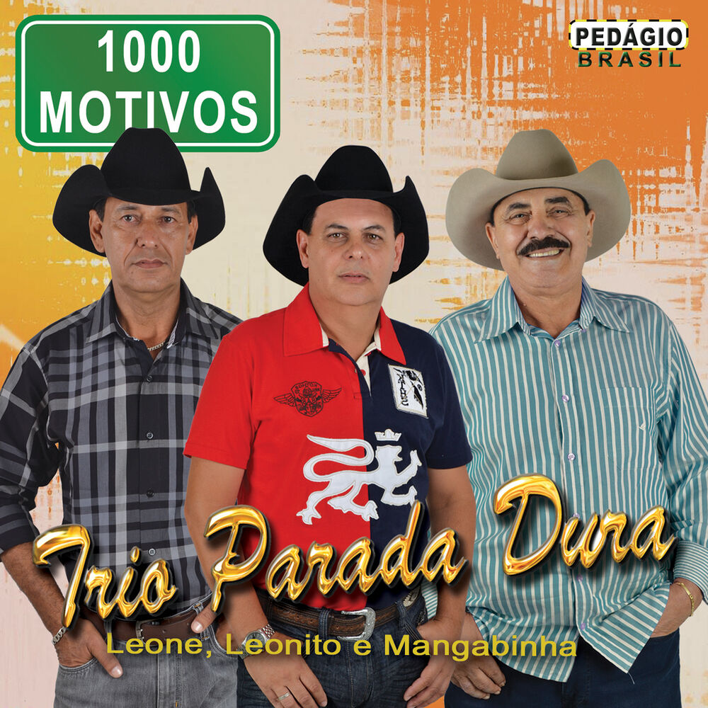 Picture of 1000 Motivos