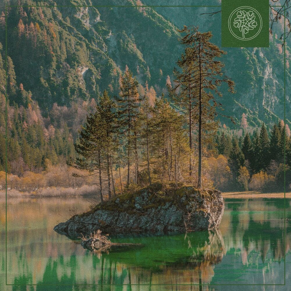 Picture of Mellow Pine