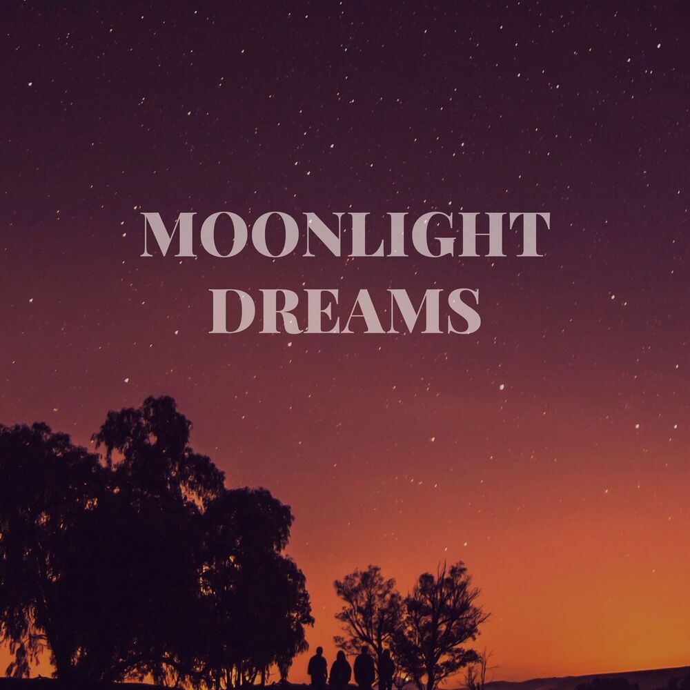 Picture of Moonlight Dreams