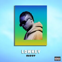 Cover of Lowkey