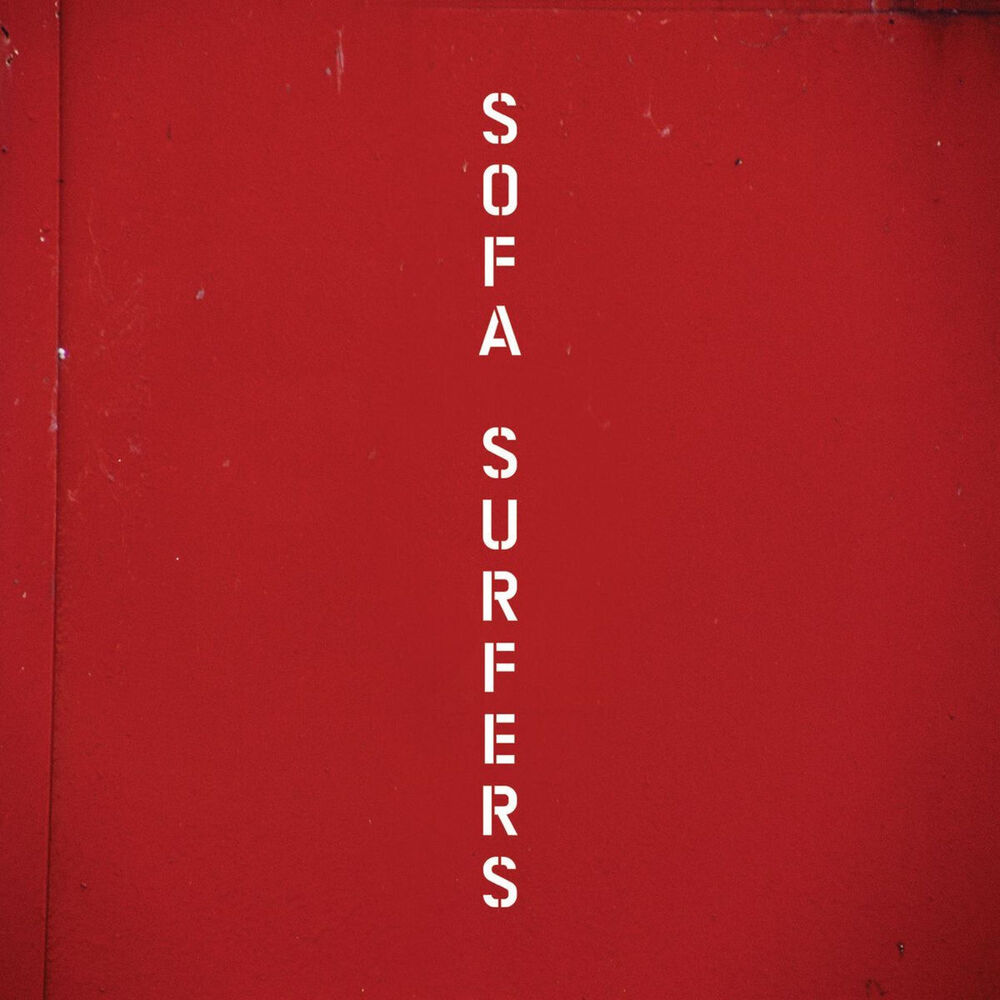 Picture of Sofa Surfers