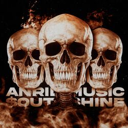 Cover of Bxrnxut