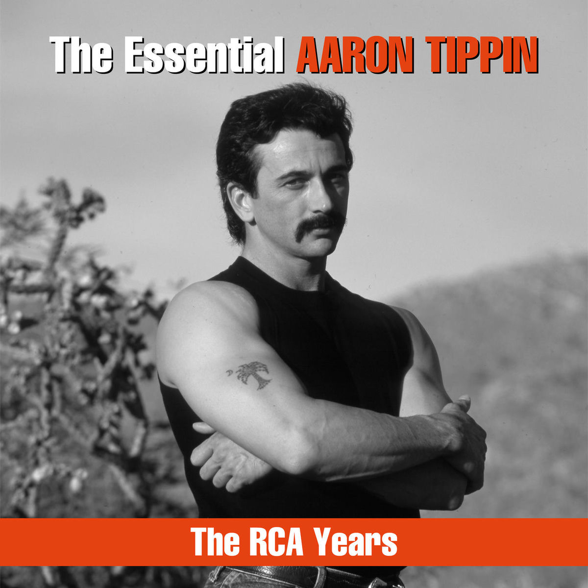 Album picture of The Essential Aaron Tippin - The RCA Years