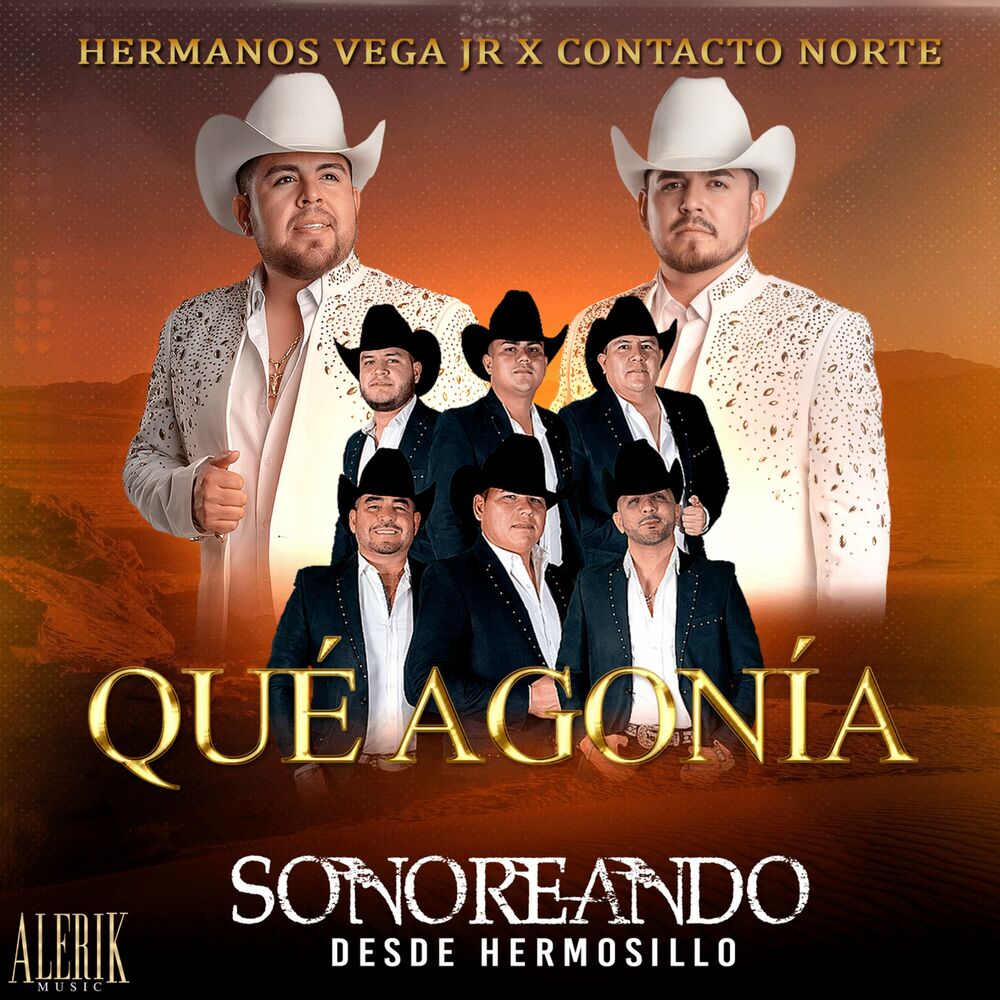 Picture of Que Agonia (En Vivo)