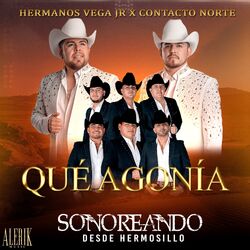 Cover of Que Agonia (En Vivo)
