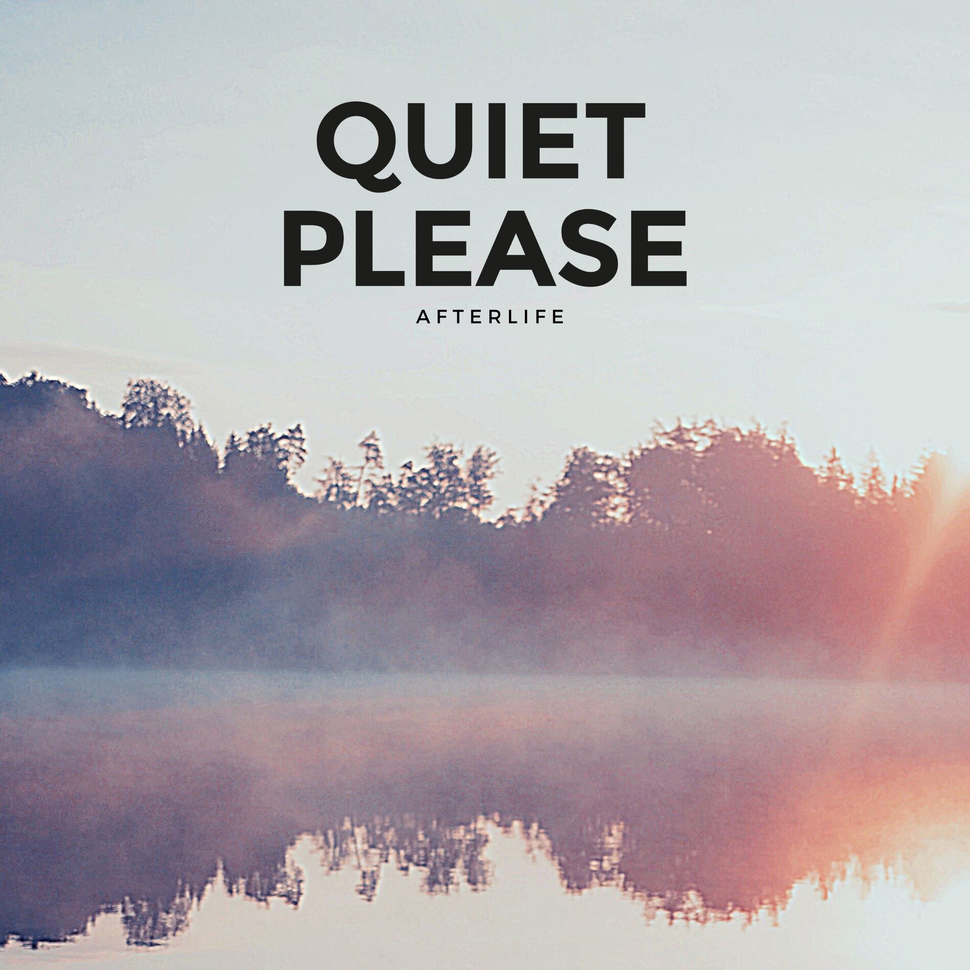 Album cover of Afterlife