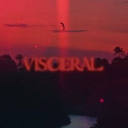Cover of Visceral