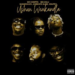Cover of ushuni we nkandla (feat. Ice Beats Slide, Shakes & Les, Xduppy)