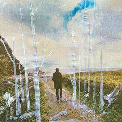 Cover of New Fires