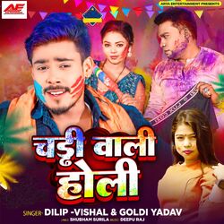 Cover of Chaddi Wali Holi