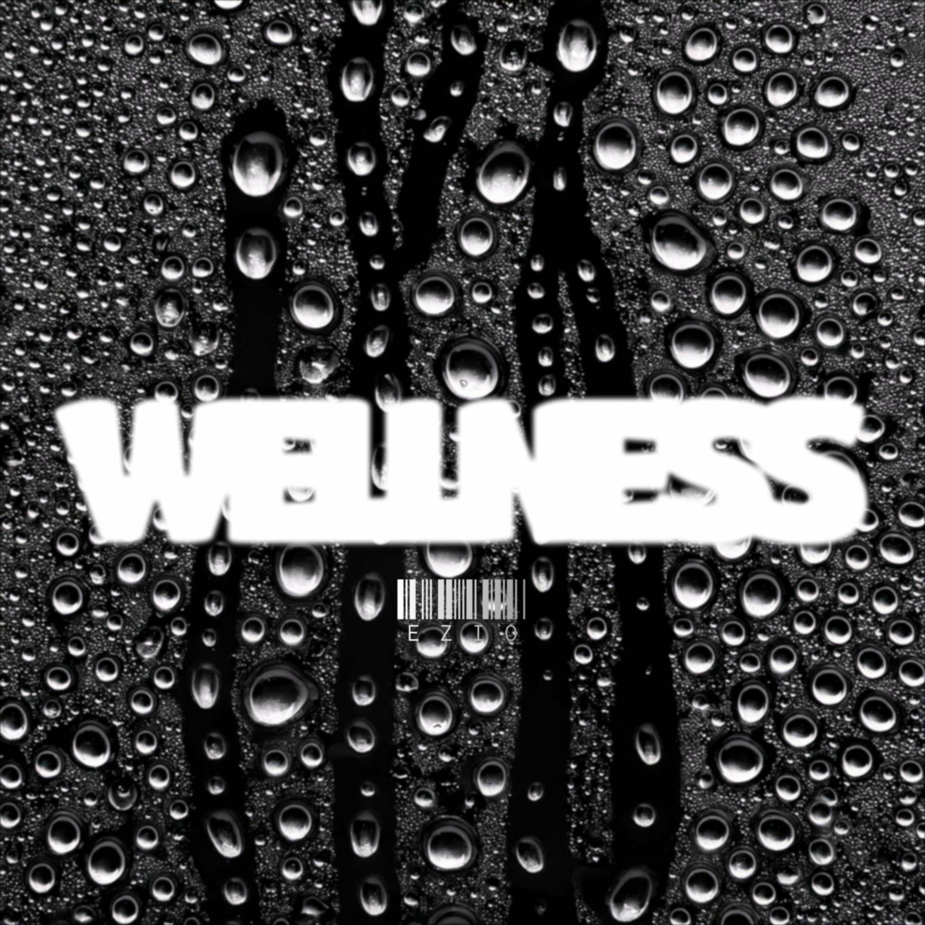 Album cover of WELLNESS