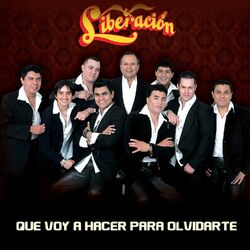 Cover of Que Voy A Hacer Para Olvidarte