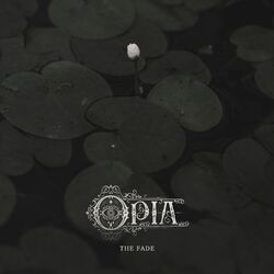 Cover of The Fade