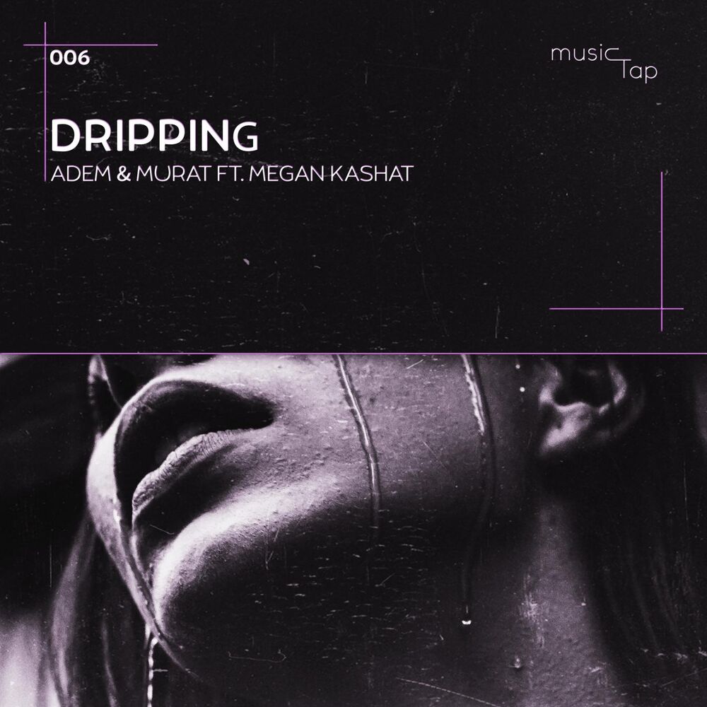 Picture of Dripping