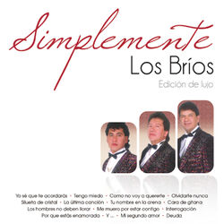 Cover of Los Bríos