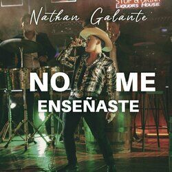 Cover of No Me Enseñaste