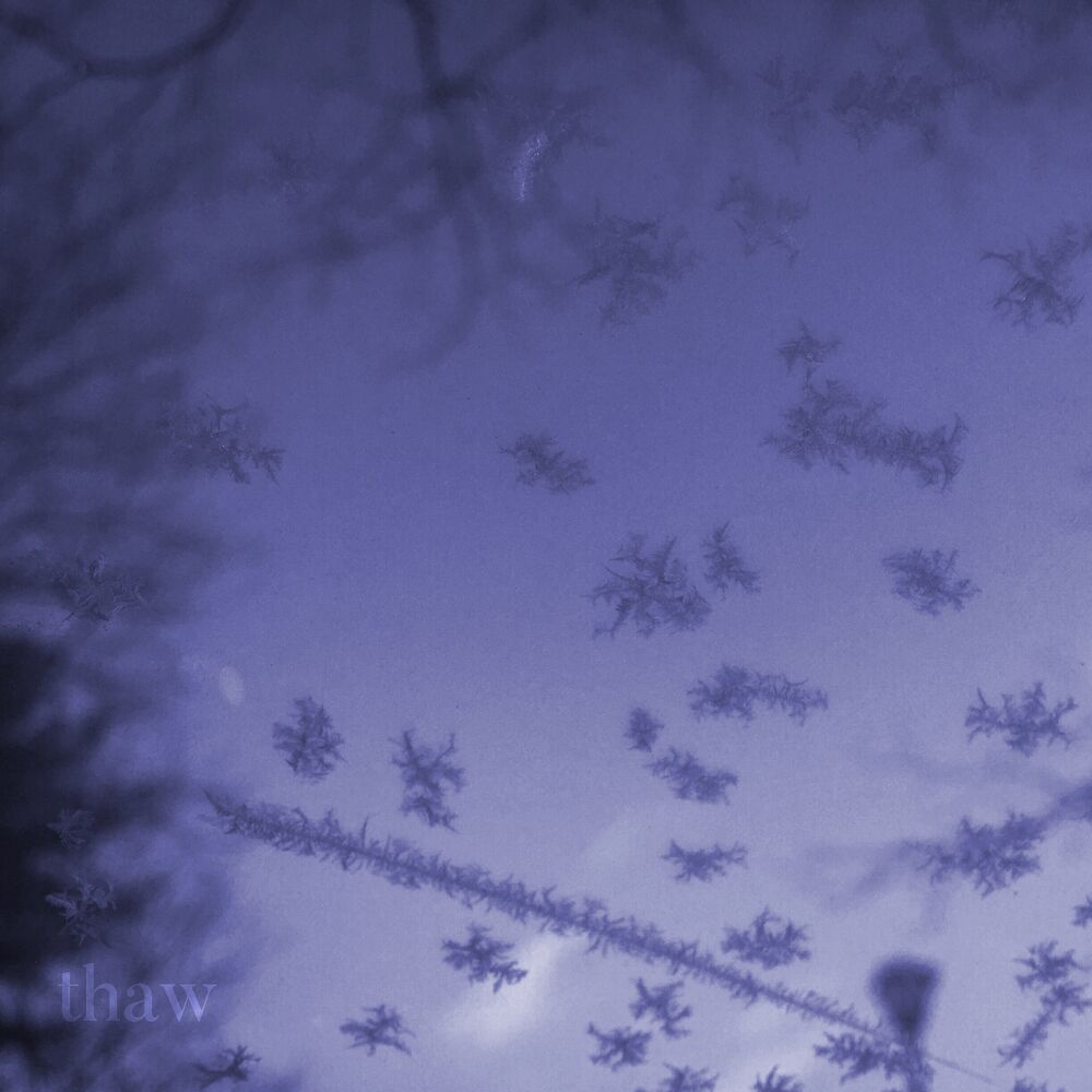 Picture of Thaw