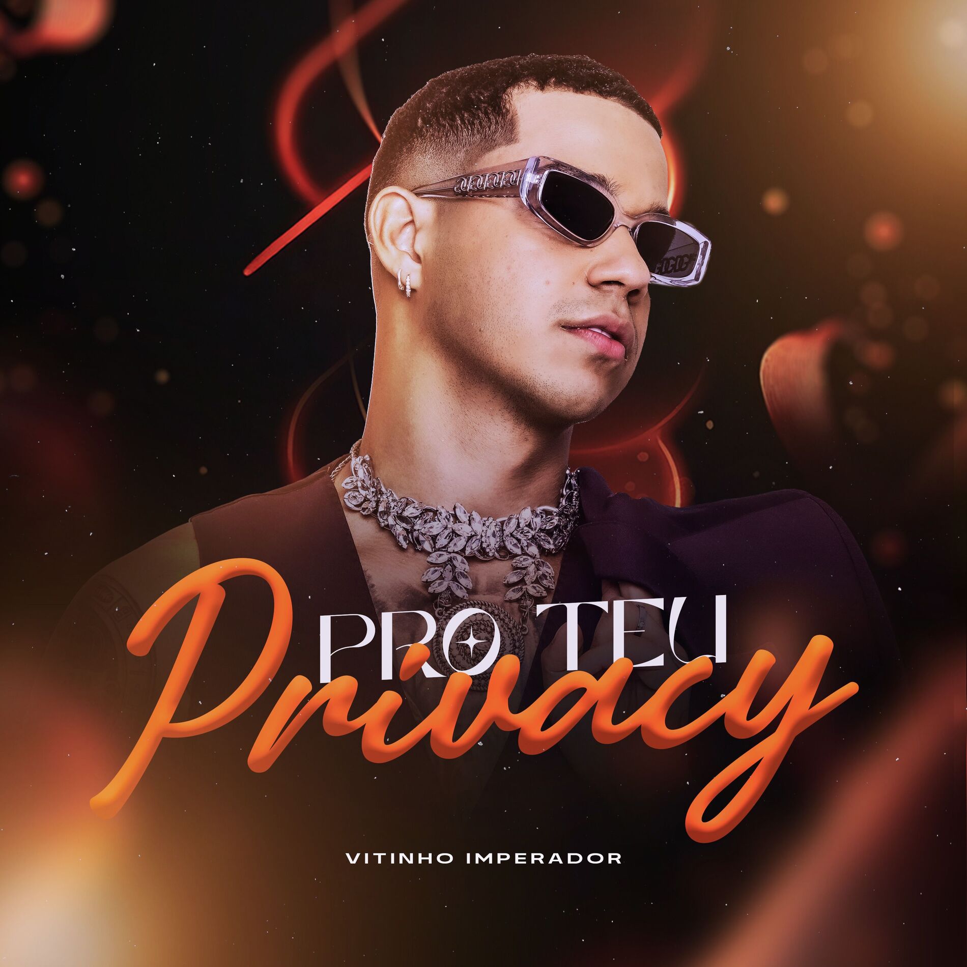 Album cover of Pro Teu Privacy