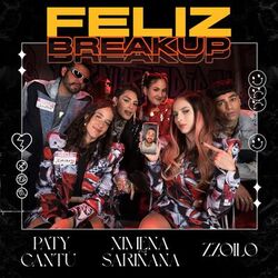 Cover of Feliz Breakup