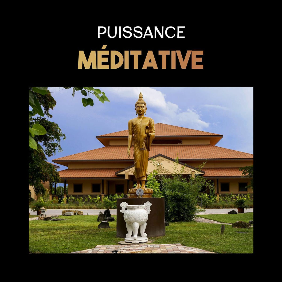 Album cover of Puissance méditative - Moment de détente, ondes positives, purification et vie équilibrée, thérapie naturelle avec zen détente