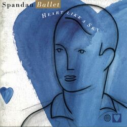 Cover of Heart Like A Sky