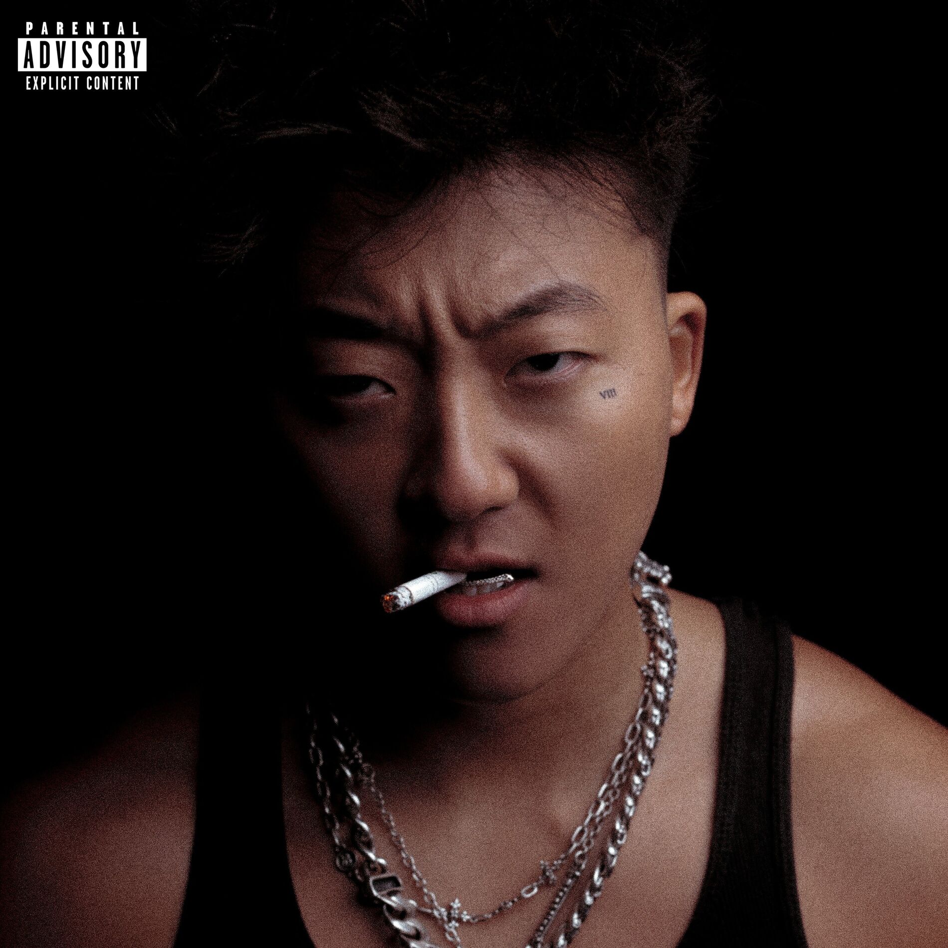 Album cover of LIKE A CHINK BITCH (G6)