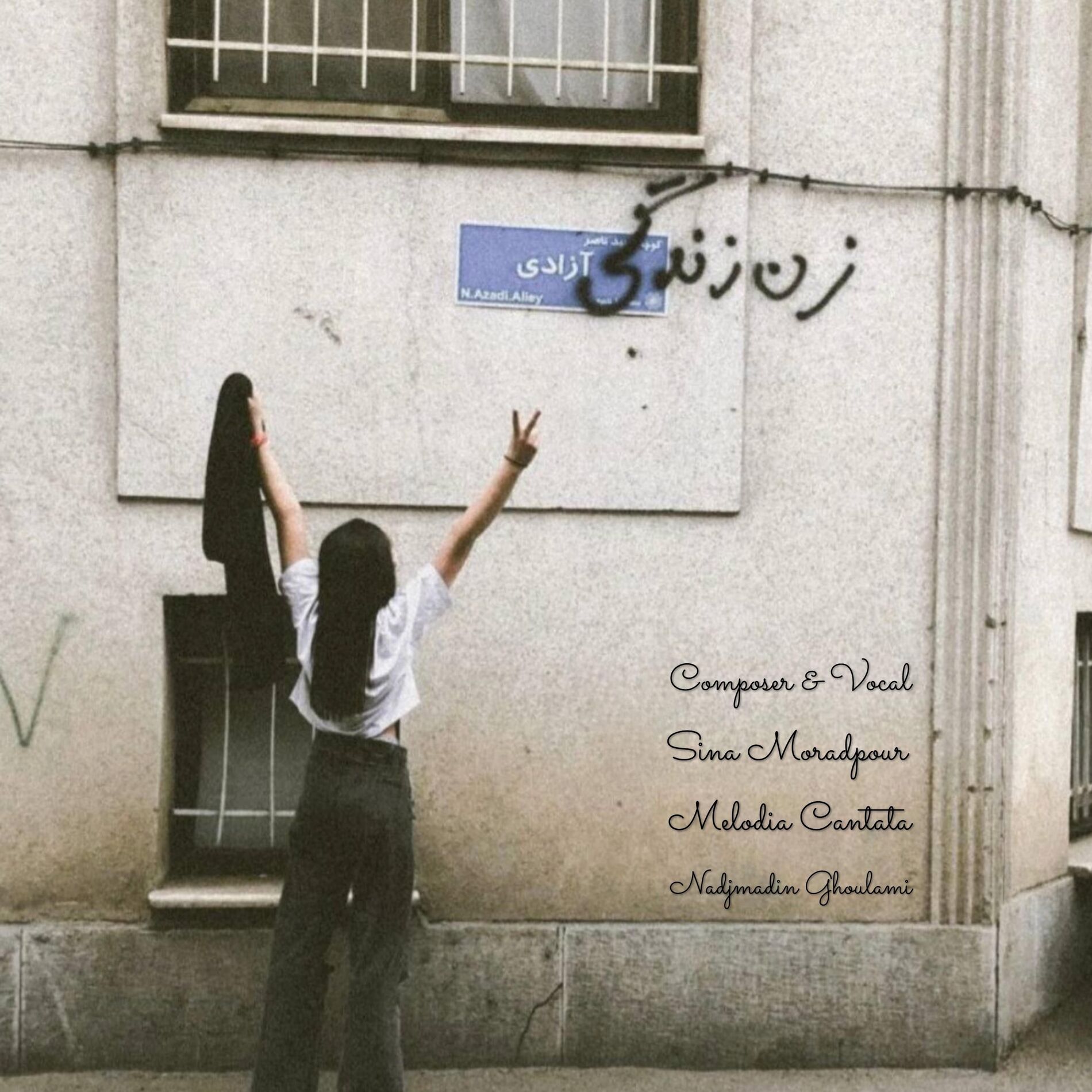 Album cover of The Age of Women