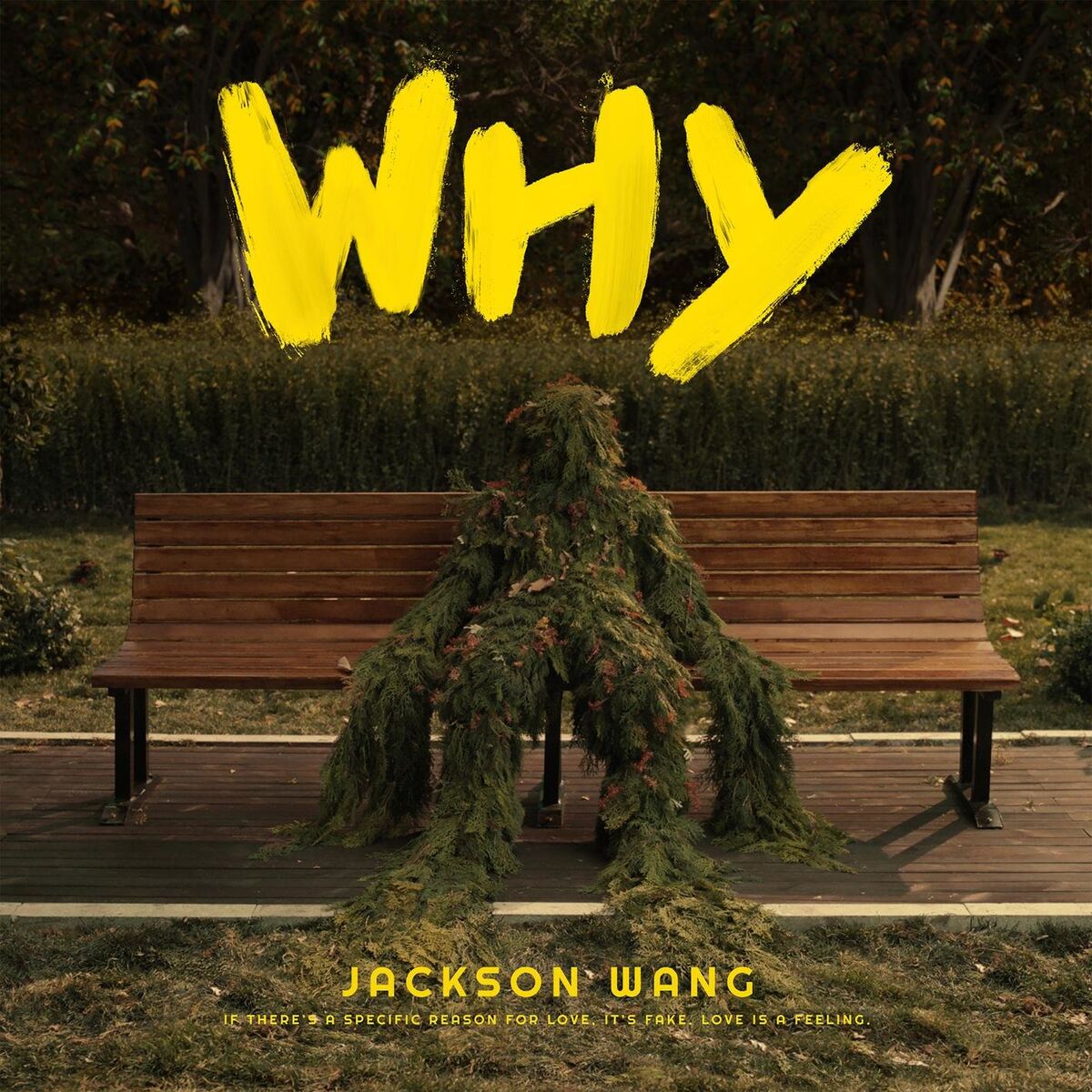 Album cover of Why Why Why