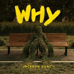 Cover of Why Why Why