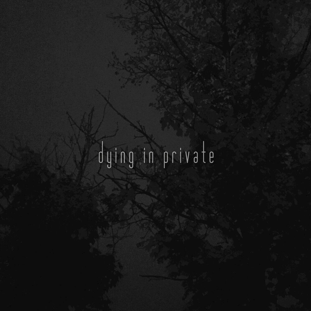 Picture of dying in private