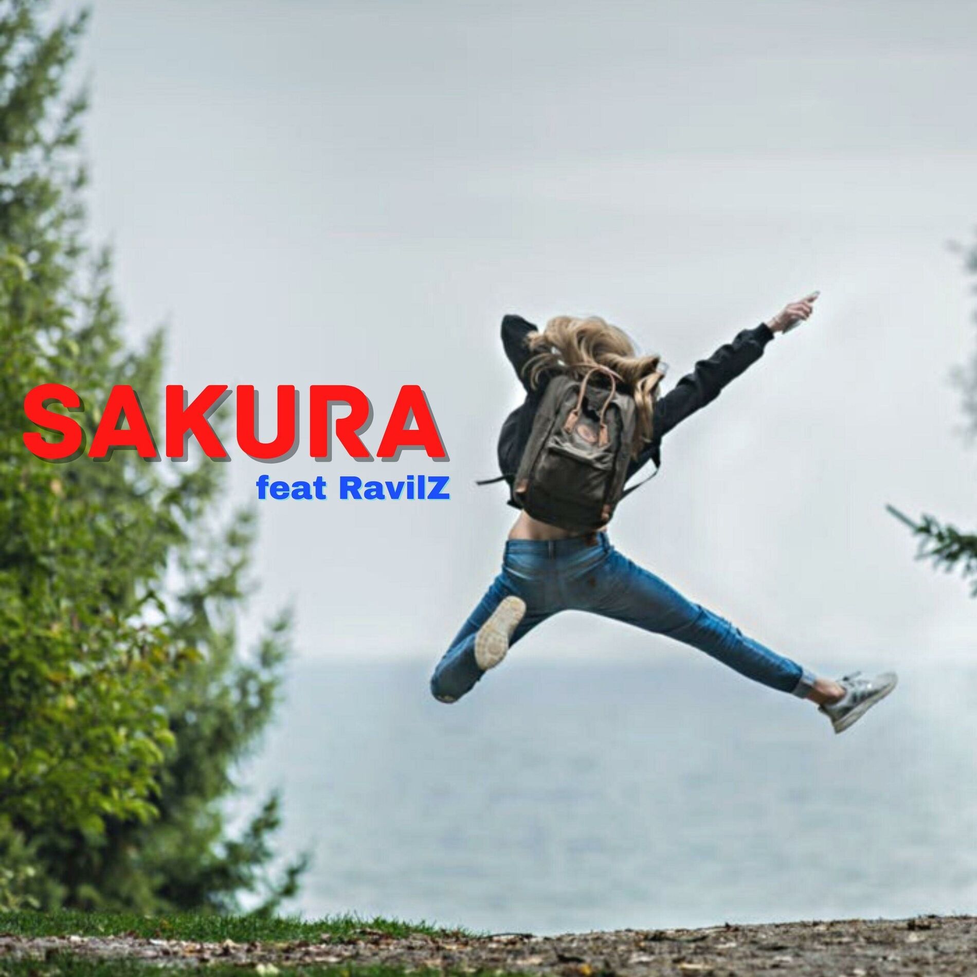 Album cover of SaKuRa (feat. RavilZ)