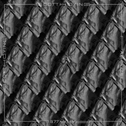Cover of Parallel