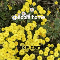 Cover of people home
