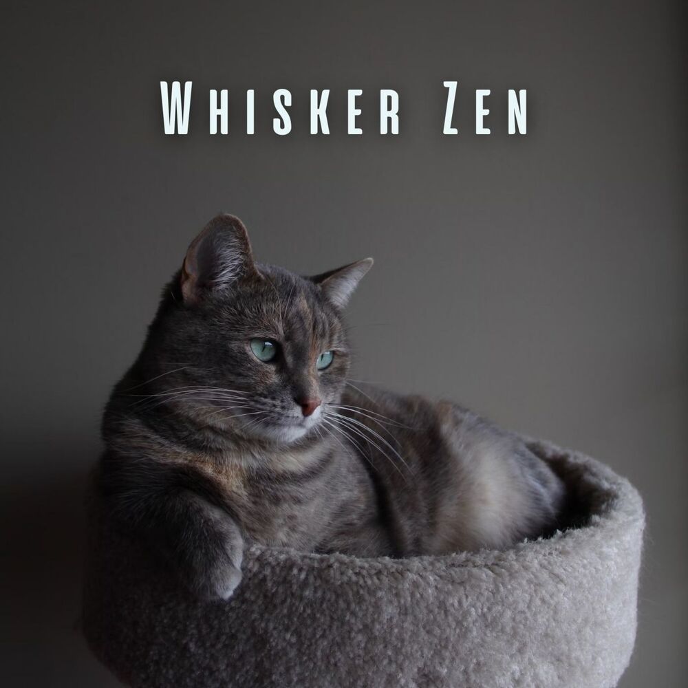 Picture of Whisker Zen: Calming Tunes for Cat Meditation