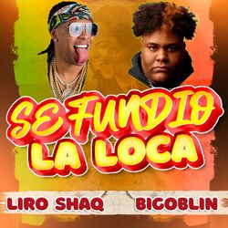 Cover of Se Fundio la Loca