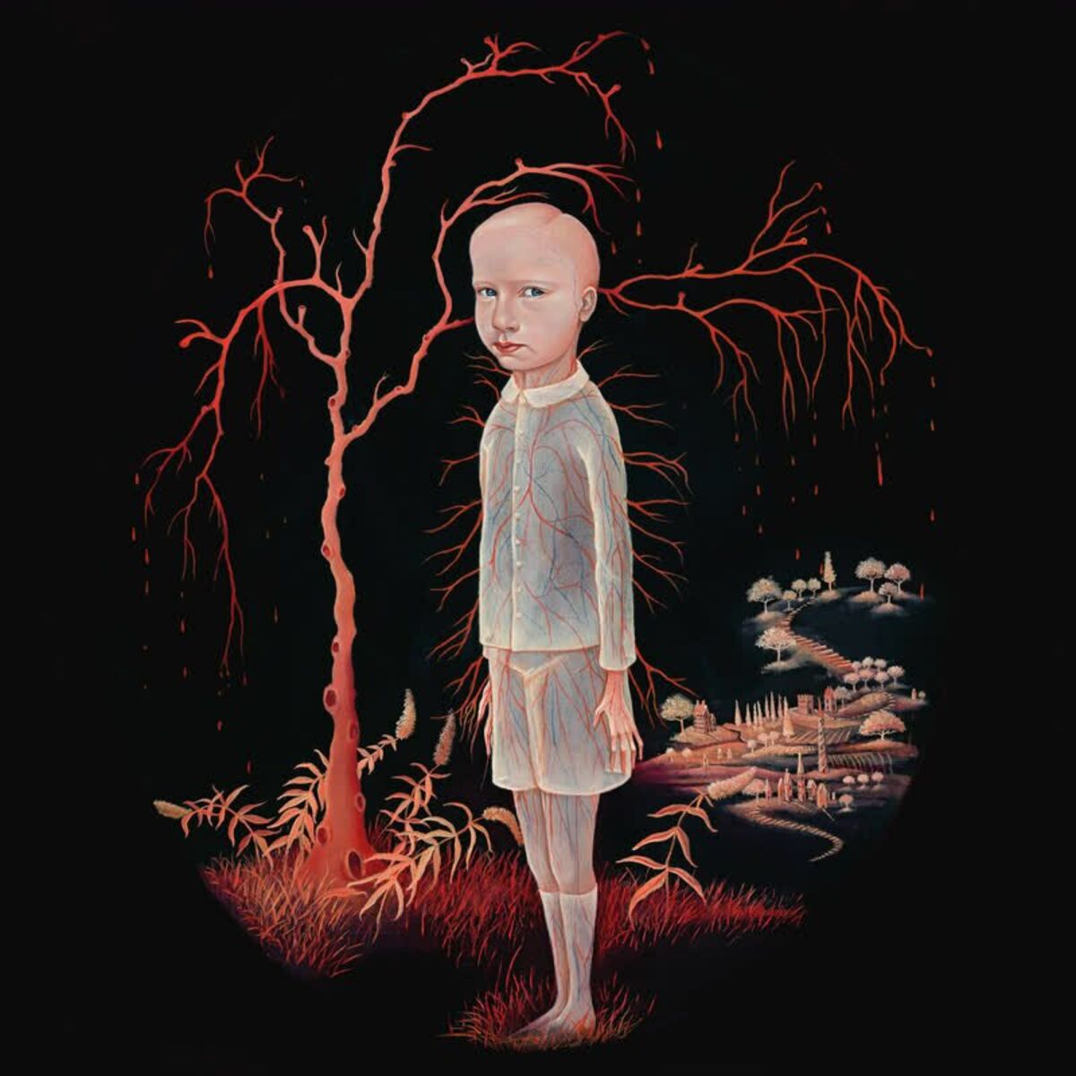 Album cover of Patient Has Own Supply