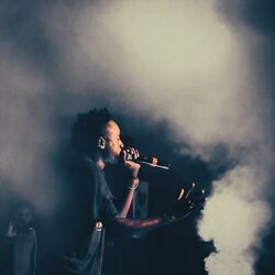 Cover of No Performance