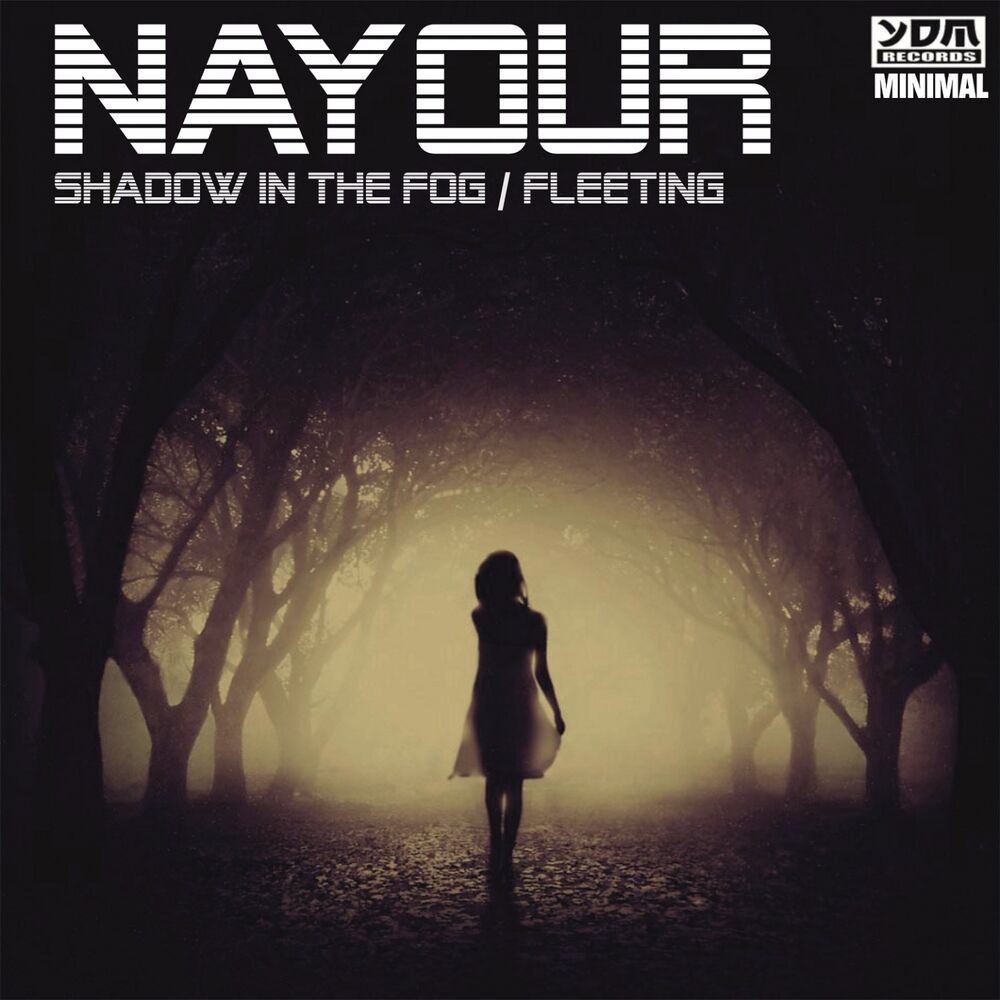 Picture of Shadow in the Fog / Fleeting