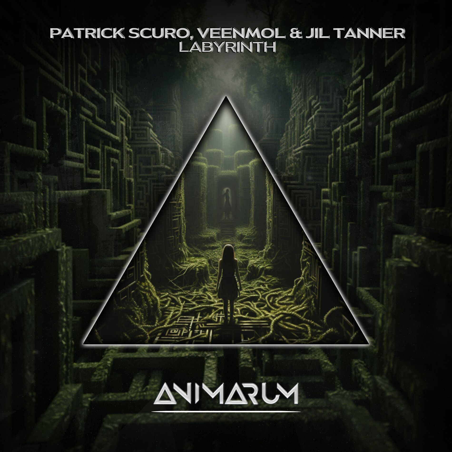 Album cover of Labyrinth