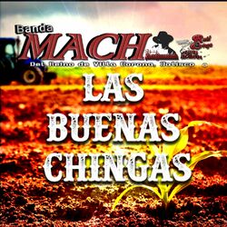 Cover of Las Buenas Chingas