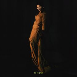 Cover of cruel