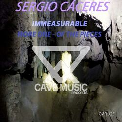 Cover of Immeasurable- More One- Of the Pieces