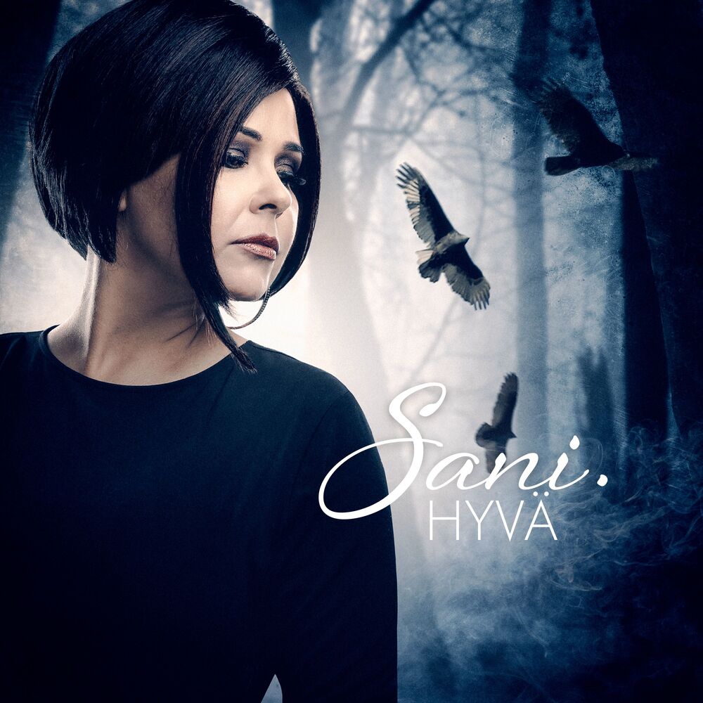 Picture of Hyvä